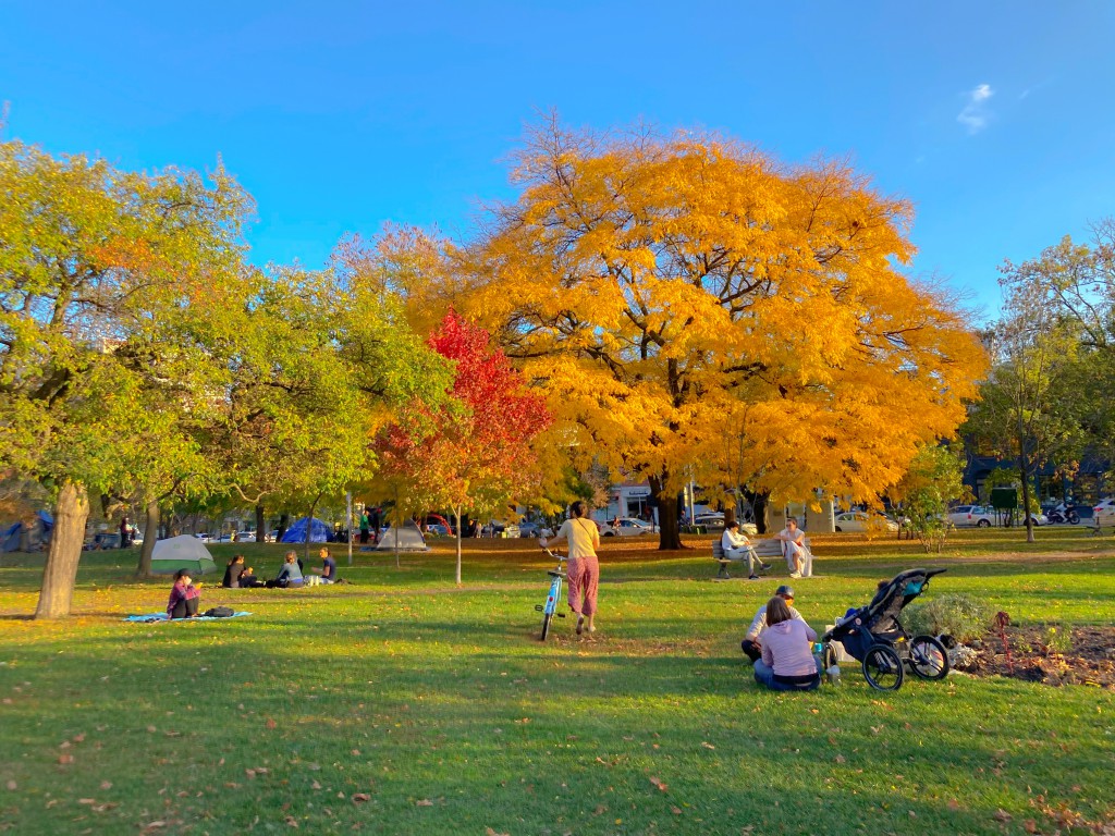 No money? No problem! These are the best free activities to enjoy in Toronto this fall